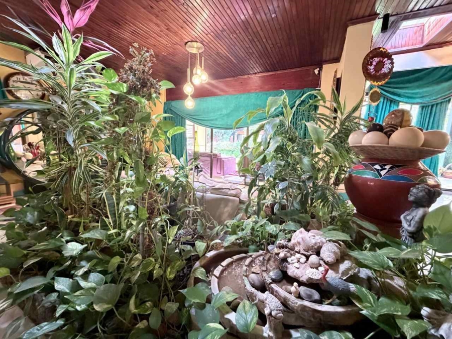 5 Bedroom Property for Sale in Blue Rise Eastern Cape